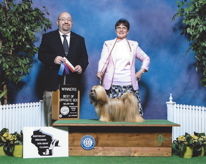 Lhasa Apso on winners podium